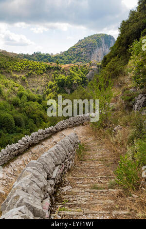Vradeto Treppen, ein 17. Jahrhundert Stein Saumweg in der Zagoria-Region von Griechenland. Sie sind jetzt Teil eines Netzes von Wanderwegen Stockfoto