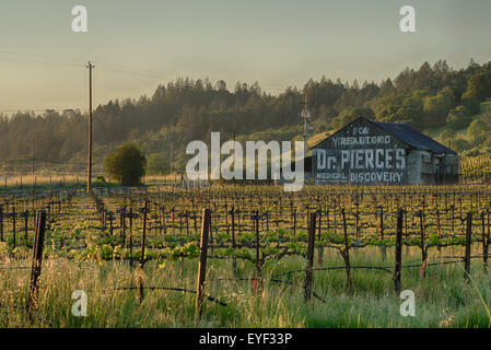 Sonnenaufgang über ein California Wine Country Scheune Stockfoto