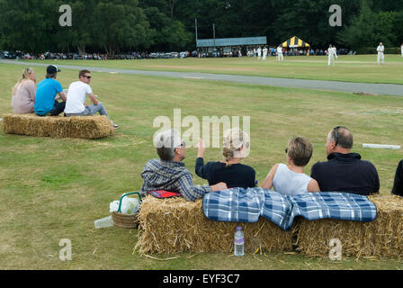 Village Cricket Lazy Afternoon, die Leute entspannten sich und schauten sich ein Cricket-Spiel der 2015 2010er Sussex Nr Petworth West Sussex, England, Vereinigtes Königreich HOMER SYKES an Stockfoto