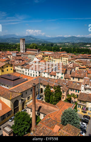 Alte Stadt und die Berge, Lucca, Italien vom Guinigi tower Stockfoto