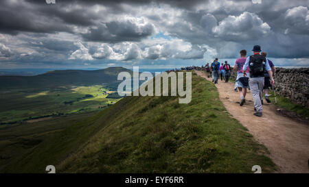 Yorkshire Peaks Challenge - beschäftigt auf Whernside Stockfoto