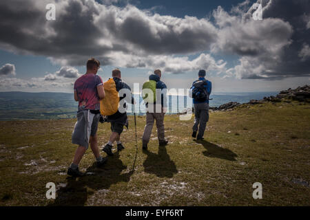 Männer Sozialisieren - Vier Wanderer in den Yorkshire Dales Landschaft Kopf für den hohen Punkt auf Ingleborough, Großbritannien Stockfoto