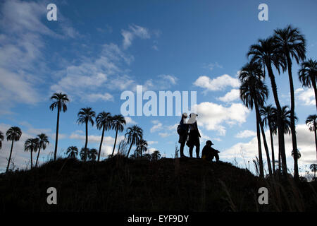 (150728)--COLON, 28. Juli 2015 (Xinhua)--Bild aufgenommen am 25. Juli 2015 zeigt Besuchern posiert im Nationalpark "El Palmar" im Dickdarm, Entre Rios Provinz, 368 km von Buenos Aires, die Hauptstadt von Argentinien. Der Nationalpark "El Palmar" wurde geschaffen, um einen repräsentativen Teil der Palmen der Yatay Sorte zu erhalten. Es befindet sich in der Mitte-östlich der Provinz Entre Rios, am rechten Ufer des Flusses Uruguay. Mit einer gesamten Erweiterung von 8.500 Hektar ist der Park einer der meist besuchten und in Argentinien bekannt. Die Hauptattraktionen des Parks sind seine Handfläche Landschaft, Galerie o Stockfoto