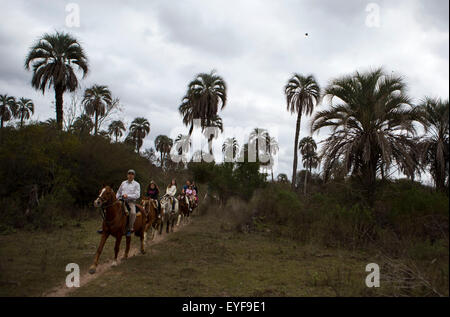 (150728)--COLON, 28. Juli 2015 (Xinhua)--Bild aufgenommen am 25. Juli 2015 zeigt Besuchern Reiten im Nationalpark "El Palmar" im Dickdarm, Entre Rios Provinz, 368 km von Buenos Aires, die Hauptstadt von Argentinien. Der Nationalpark "El Palmar" wurde geschaffen, um einen repräsentativen Teil der Palmen der Yatay Sorte zu erhalten. Es befindet sich in der Mitte-östlich der Provinz Entre Rios, am rechten Ufer des Flusses Uruguay. Mit einer gesamten Erweiterung von 8.500 Hektar ist der Park einer der meist besuchten und in Argentinien bekannt. Die Hauptattraktionen des Parks sind seine Handfläche Landschaft, Galerie o Stockfoto