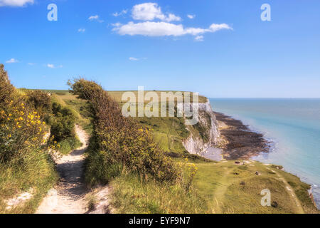 Weiße Klippen von Dover, Dover, Kent, England, Vereinigtes Königreich Stockfoto