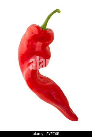 Rote Paprika verdreht.  Das Bild zeigt einen Ausschnitt isoliert auf einem weißen Hintergrund. Stockfoto