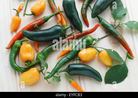 Vielzahl von homegrown Chilischoten auf einem Holzbrett Stockfoto