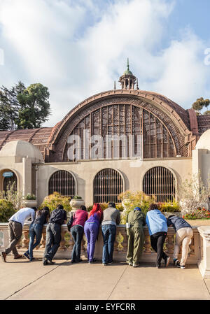 Gruppe von Jugendlichen auf der Suche in der Koi-Karpfen-Pool vor dem botanischen Gebäude im Balboa Park, San Diego, Neff, USA Stockfoto