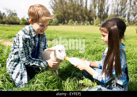 Mädchen (6-7) und junge (10-11) Fütterung Lamm Stockfoto