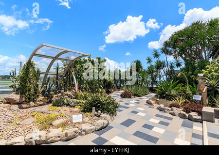 Kakteengarten im internationalen Flughafen Changi, Singapur. Stockfoto