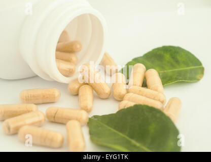 Kraut in Kapsel verschütten aus einer Flasche, Kräuter für die Gesundheit Stockfoto