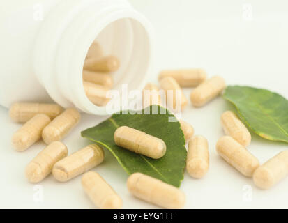 Kraut in Kapsel verschütten aus einer Flasche, Kräuter für die Gesundheit Stockfoto