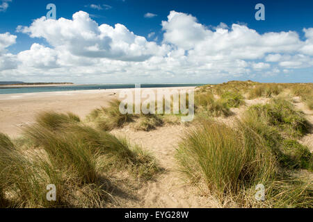 Großbritannien, Wales, Gwynedd, Aberdovey, Dovey Flussmündung Sanddünen auf Cambrian Küste Stockfoto