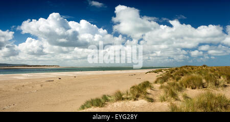 Großbritannien, Wales, Gwynedd, Aberdovey, Dovey Flussmündung sand, Dünen und Strand auf Cambrian Küste, Panorama Stockfoto