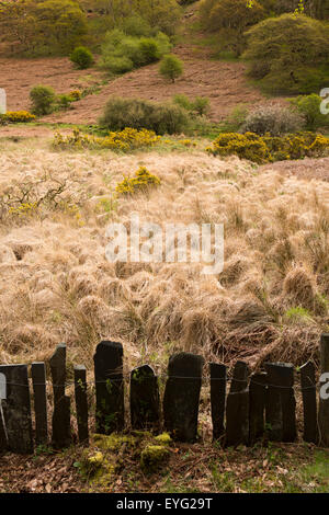 England, Wales, Gwynedd, Brynglas, Schiefer Zaun neben Tal-y-Llyn Bahnlinie Stockfoto