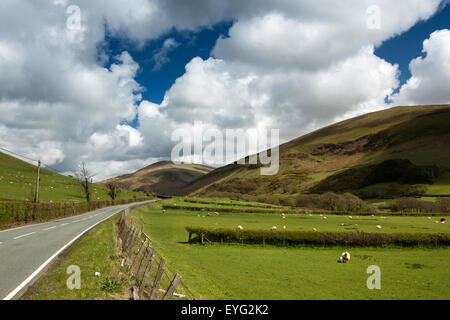 Großbritannien, Wales, Gwynedd, Dolgoch, Afon Fathew Valley, B4405 Weg zum Tal y Llyn Stockfoto