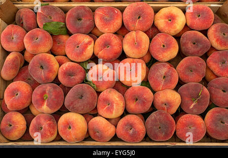 Frische reife Saturn Pfirsiche in einem Markt. Stockfoto