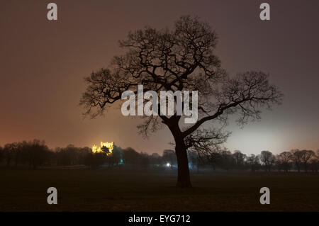 Wollaton Hall beleuchtet in der Nacht, Wollaton Nottinghamshire England UK Stockfoto