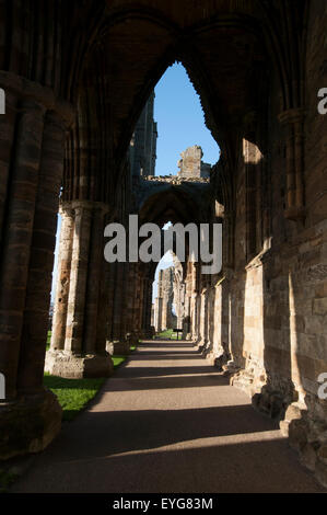 Frühen Wintermorgen in den Ruinen von Whitby Abbey, North Yorkshire England UK Stockfoto