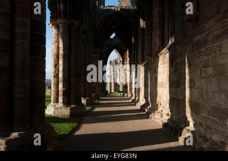 Frühen Wintermorgen in den Ruinen von Whitby Abbey, North Yorkshire England UK Stockfoto