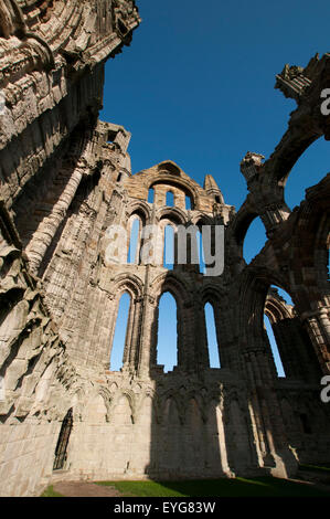 Frühen Wintermorgen in den Ruinen von Whitby Abbey, North Yorkshire England UK Stockfoto