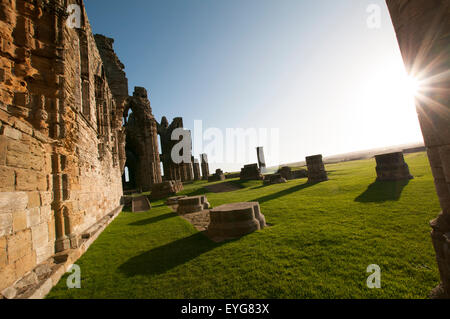 Frühen Wintermorgen in den Ruinen von Whitby Abbey, North Yorkshire England UK Stockfoto