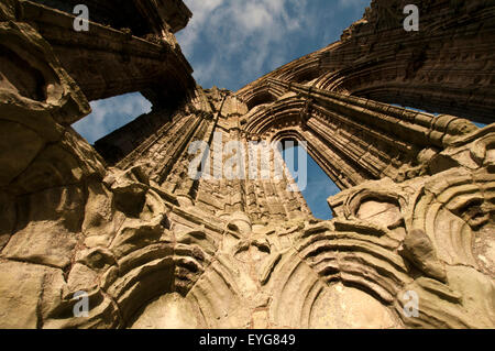 Frühen Wintermorgen in den Ruinen von Whitby Abbey, North Yorkshire England UK Stockfoto