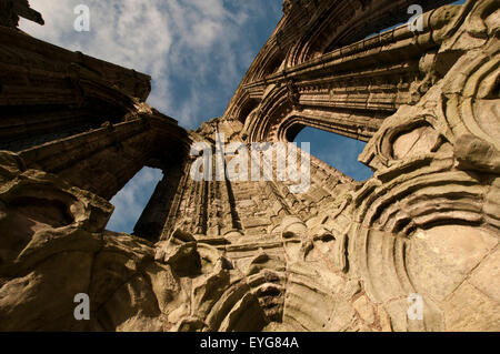 Frühen Wintermorgen in den Ruinen von Whitby Abbey, North Yorkshire England UK Stockfoto