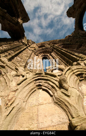 Frühen Wintermorgen in den Ruinen von Whitby Abbey, North Yorkshire England UK Stockfoto