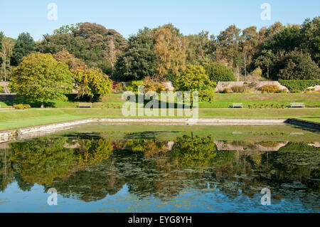 Reflexionen in der Adler-Teich in Newstead Abbey, Nottinghamshire, England UK Stockfoto