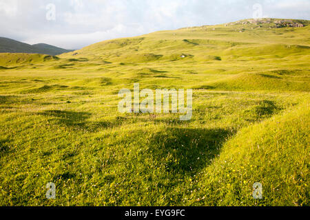 Machair Grünland auf Hügel, Vatersay Insel Barra, äußeren Hebriden, Schottland, UK Stockfoto