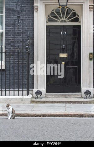 Westminster London, UK. 29. Juli 2015. Larry die Katze hat einen Auftritt in der Downing Street auf den Tag Zuhause Sekretär Theresa May Stühlen ein COBRA-treffen auf die wachsende Flüchtlingskrise in Calais Frankreich Credit: Amer Ghazzal/Alamy Live-Nachrichten Stockfoto