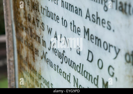 Denkmal für Lord Byron Hund Bootsmann in Newstead Abbey in Nottinghamshire, England UK Stockfoto