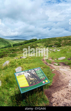 Fußweg von zwei Brücken zur Wistmans Holz mit Infotafel in den Vordergrund, Dartmoor, Devon, England, UK Stockfoto