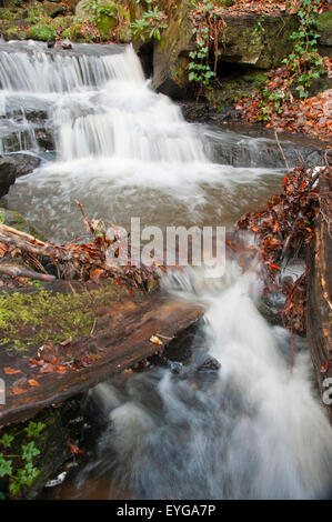 Lumsdale verliebt sich in Matlock, Derbyshire England UK Stockfoto