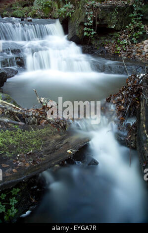 Lumsdale verliebt sich in Matlock, Derbyshire England UK Stockfoto