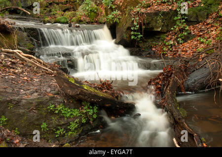 Lumsdale verliebt sich in Matlock, Derbyshire England UK Stockfoto