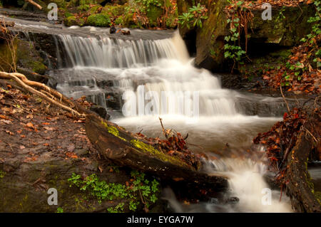 Lumsdale verliebt sich in Matlock, Derbyshire England UK Stockfoto