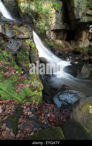 Lumsdale verliebt sich in Matlock, Derbyshire England UK Stockfoto