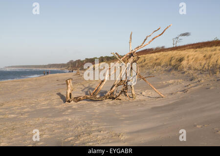 Ahrenshoop, Deutschland, gebrochen Holz am westlichen Strand Stockfoto