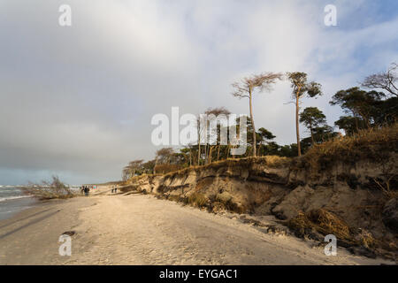 Ahrenshoop, Deutschland, Tropf Linie von den Klippen am westlichen Strand Stockfoto