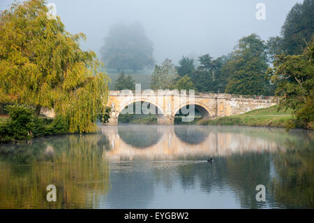 Nebligen Herbstmorgen am Ufer des River Derwent in Chatsworth, Peak District Derbyshire England UK Stockfoto