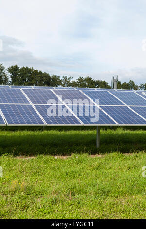 Feld mit blauen Siliciom Solarzellen Alternativenergie, Sonnenenergie zu sammeln Stockfoto