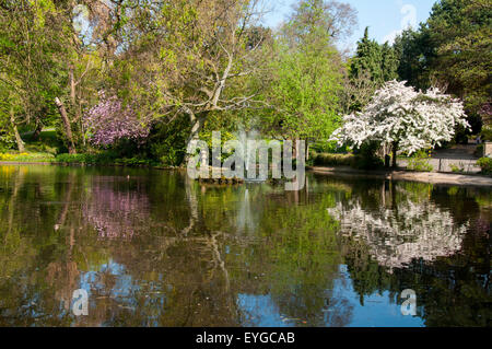 Frühling am Stadtpark Arboretum in Nottingham, Nottinghamshire, England UK Stockfoto