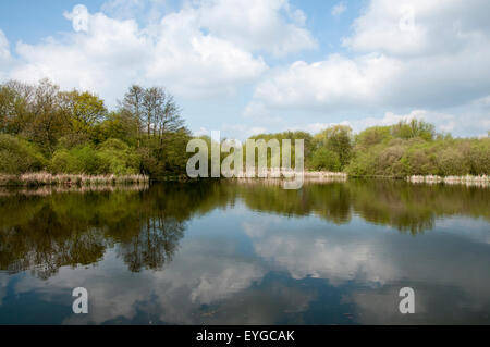 Martin Teich im Wollaton Nottinghamshire England UK Stockfoto