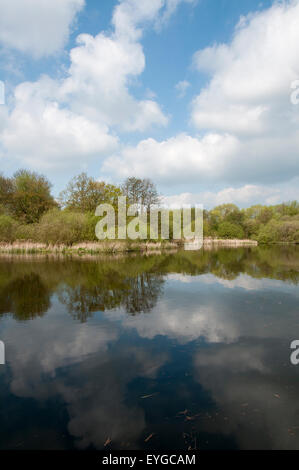 Martin Teich im Wollaton Nottinghamshire England UK Stockfoto