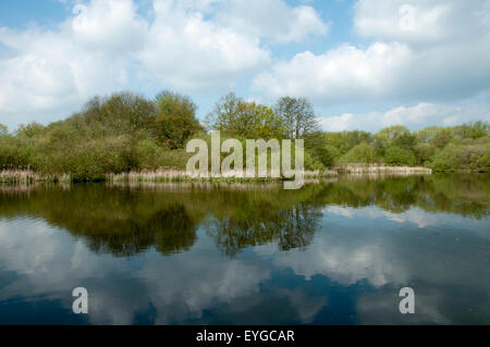 Martin Teich im Wollaton Nottinghamshire England UK Stockfoto