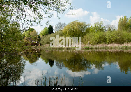 Martin Teich im Wollaton Nottinghamshire England UK Stockfoto