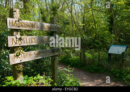 Harrisons Plantage in Wollaton Nottinghamshire England UK Stockfoto