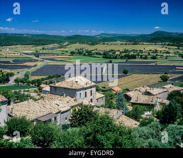 Häuser von Simiane-la-Rotonde Dorf und blühenden Lavendelfelder, Alpes-de-Haute-Provence, Frankreich, Europa Stockfoto